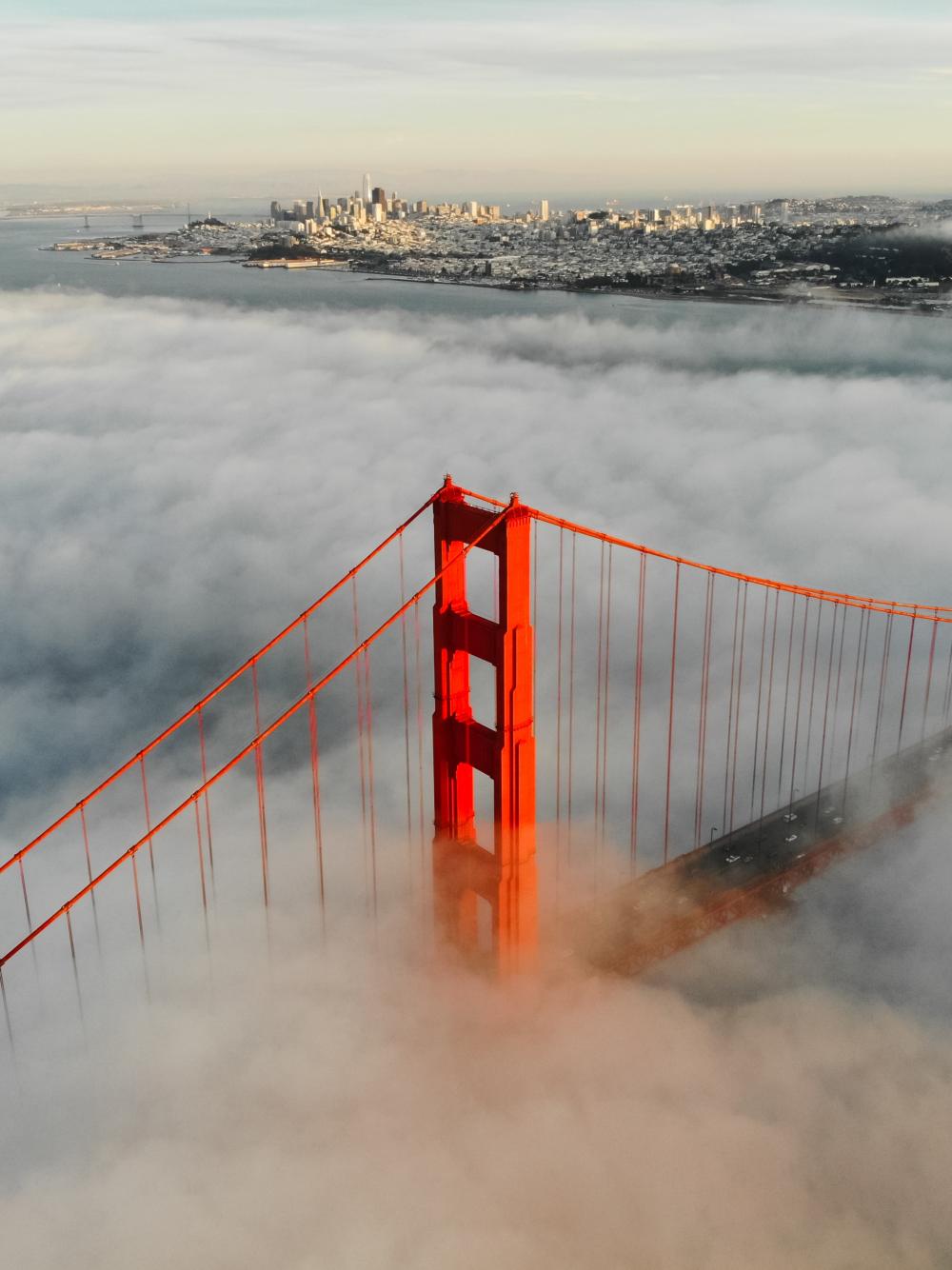 The golden gate engulfed in fog