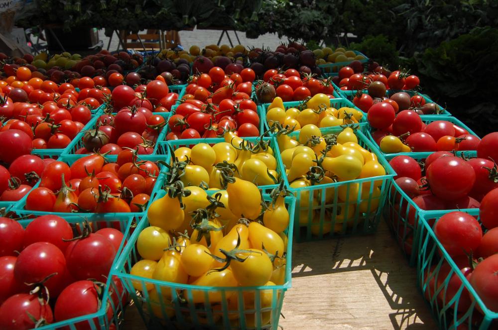 Containers of fresh tomatoes at the Alemany Farmers Market.